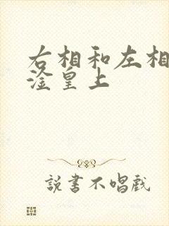 右相和左相一起淦皇上