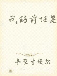 我的前任是极品