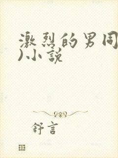 激烈的男同(h)小说