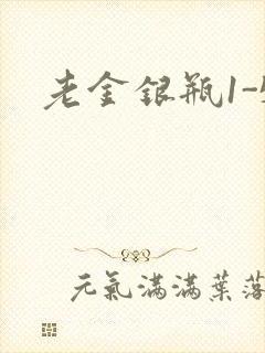 老金银瓶1-5