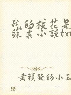 我的校花是福姬苏柔小说txt