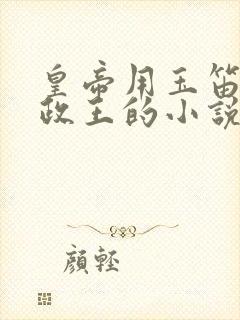 皇帝用玉笛整摄政王的小说