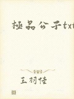极品公子txt