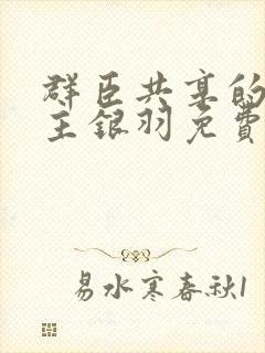 群臣共享的小公主银羽免费阅读