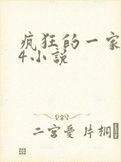 疯狂的一家ps4小说