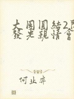 大团圆结2闪闪发光亲情会