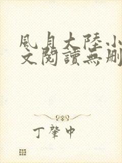 风月大陆小说全文阅读无删减