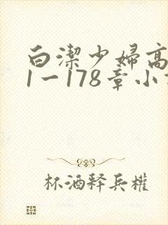 白洁少妇高义第1一178章小说