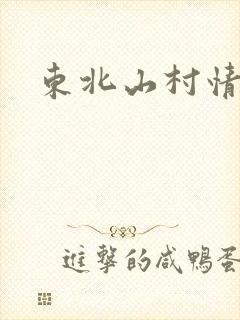 东北山村情事
