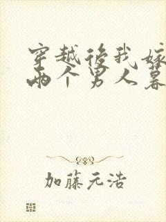 穿越后我嫁给了两个男人暮色酒歌