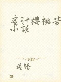 蜜汁樱桃苦咖啡小说