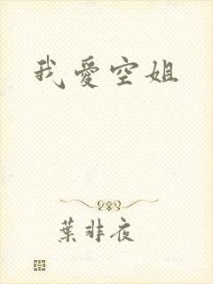 我爱空姐