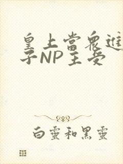 皇上当众进入太子NP主受