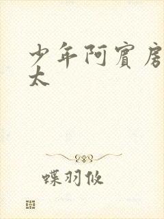 少年阿宾房东太太