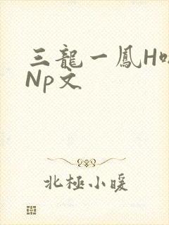 三龙一凤H啪肉Np文