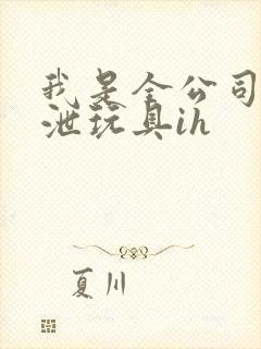 我是全公司的发泄玩具ih