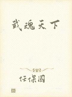 武魂天下