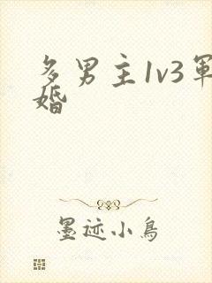 多男主1v3军婚
