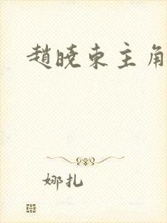 赵晓东主角小说