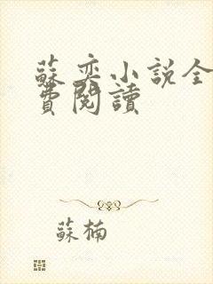 苏奕小说全文免费阅读