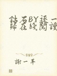 钻石BY逐一而归在线阅读