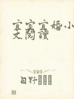 宜室宜婚小说全文阅读