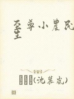 至尊小农民王木生