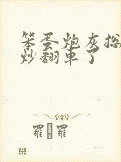 笨蛋炮灰总被爆炒翻车了