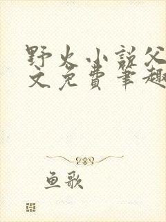 野火小说父女全文免费笔趣阁