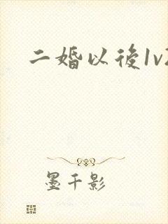 二婚以后1v2