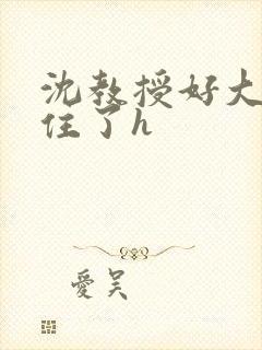 沈教授好大含不住了h