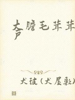 大胆毛茸茸的湿户