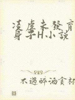 凌虐未发育的小身子H小说