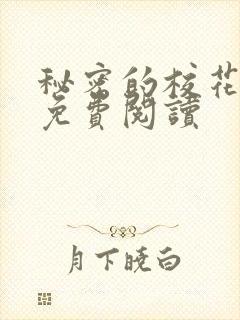 秘密的校花小说免费阅读