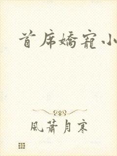 首席娇宠小情人