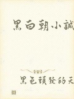 黑白朝小诚
