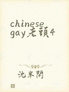chinesegay老头4