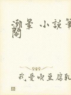 潮晕 小说笔趣阁