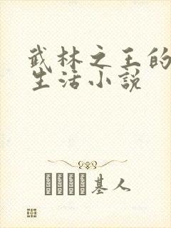 武林之王的退隐生活小说