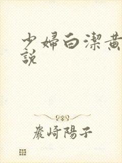 少妇白洁黄色小说