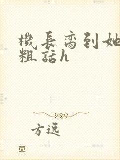 机长脔到她哭h粗话h