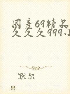 国产69精品久久久久999小说
