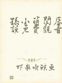 孙小萌闫辰的小说免费观看