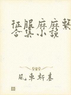 征服麻麻系列大合集小说