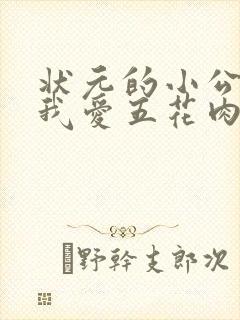 状元的小公主(我爱五花肉)