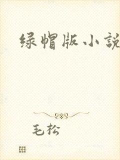 绿帽版小说