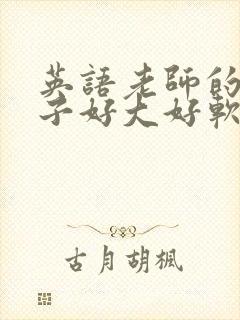 英语老师的小兔子好大好软水