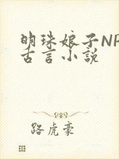 明珠娘子NPC古言小说