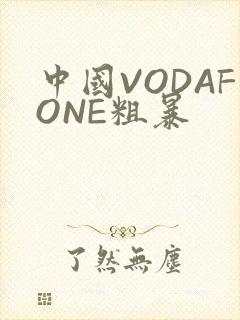 中国VODAFONE粗暴