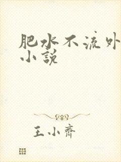 肥水不流外人田小说